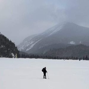 Meet your Posher, Patty